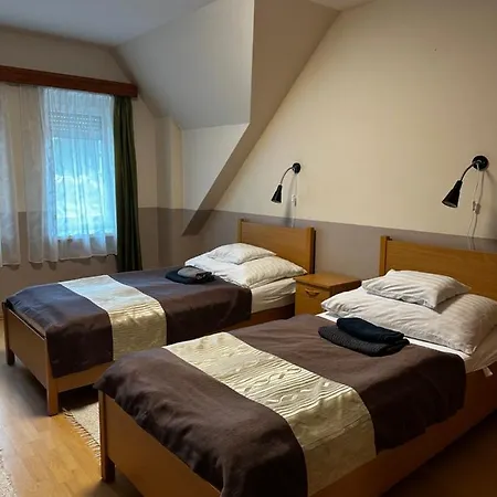 Penzion Gyarmati Panzio & Etterem 3*